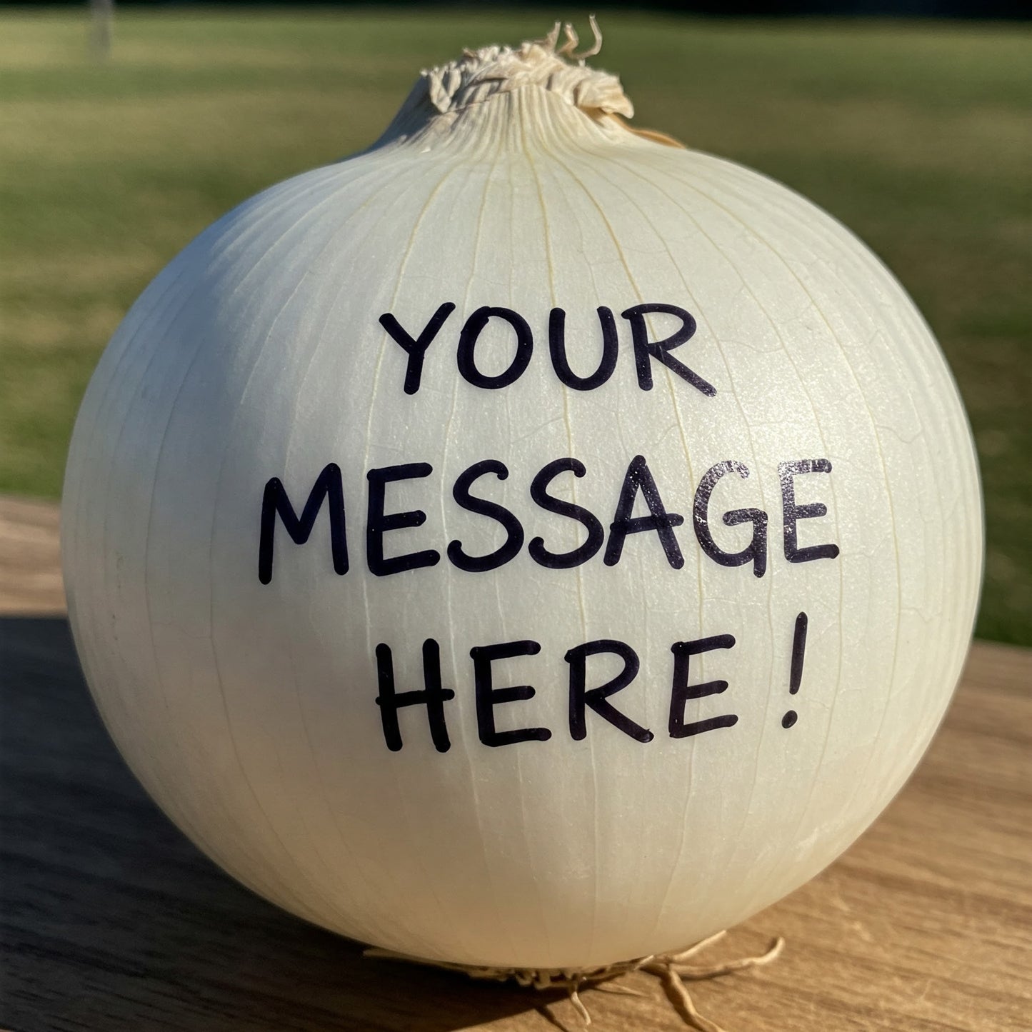 Onion Messages