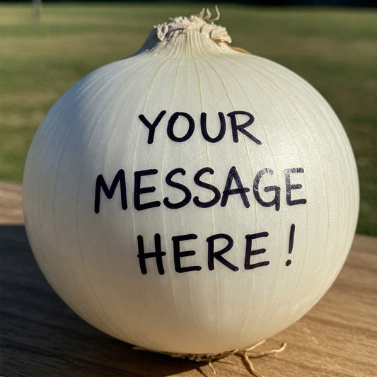 Onion Messages